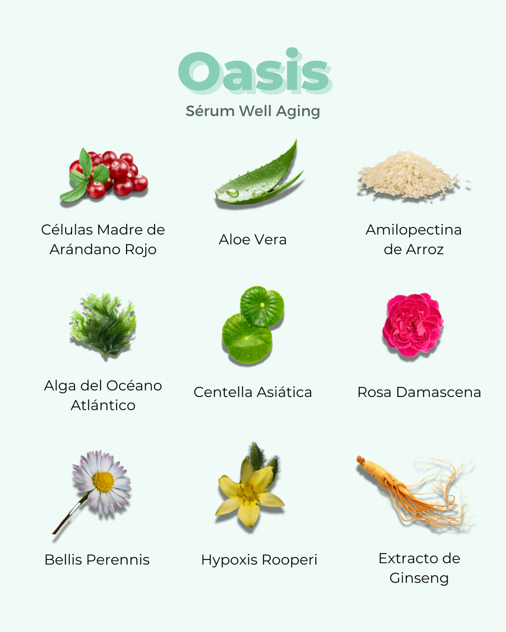 Sérum Facial ECO Well Aging OASIS