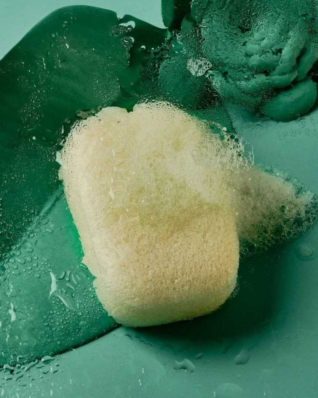 Esponja Konjac Corporal Purificante Natural