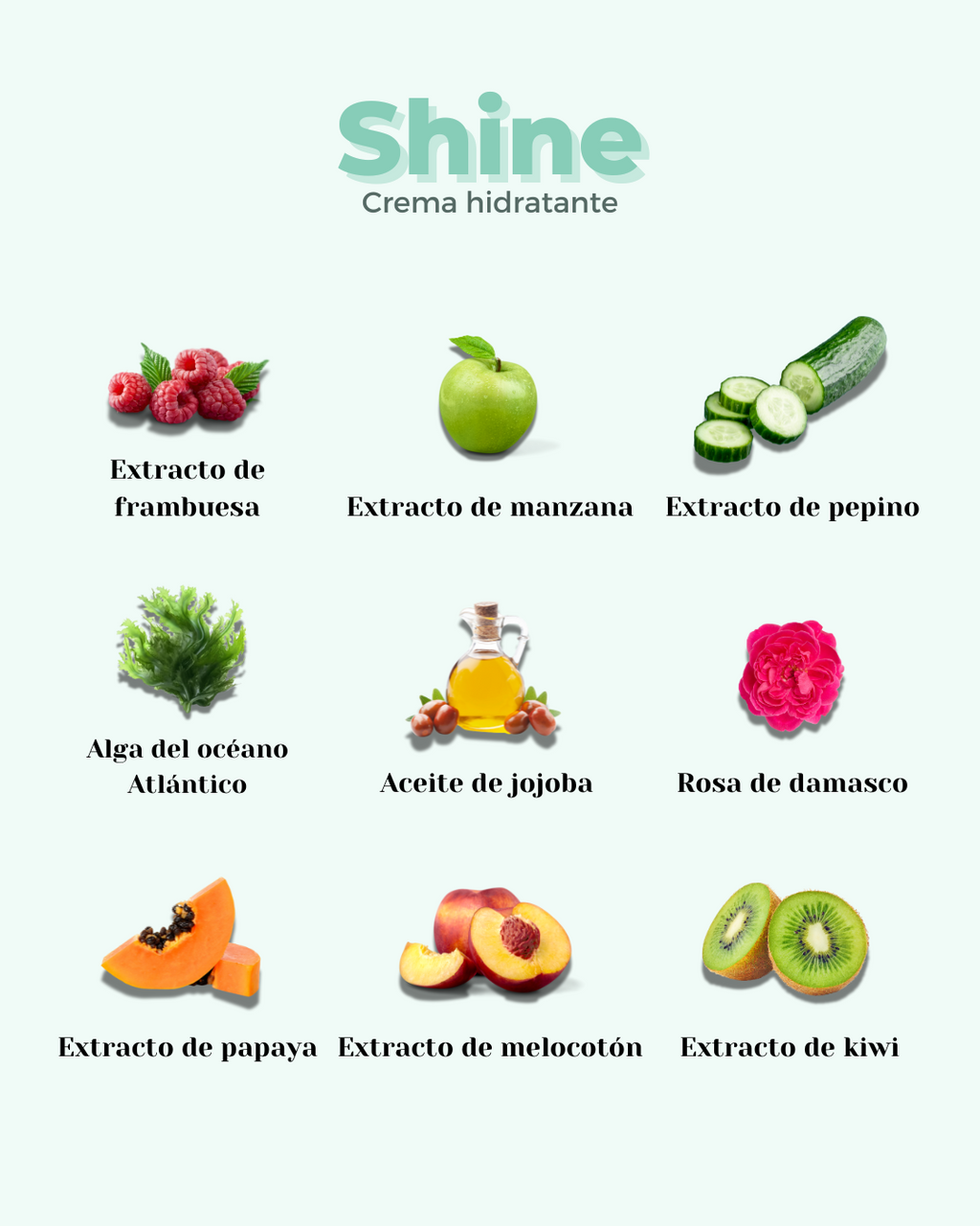 Crema Facial ECO Hidratante SHINE
